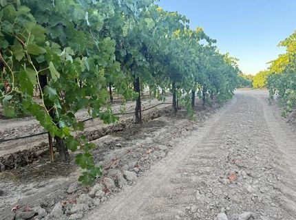 4000 E Acampo Rd, Acampo, CA 95220 Photo