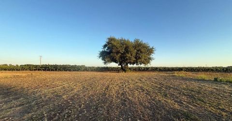 4000 E Acampo Rd, Acampo, CA 95220 Photo