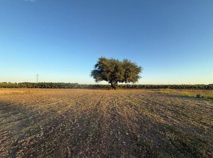 4000 E Acampo Rd, Acampo, CA 95220 Photo