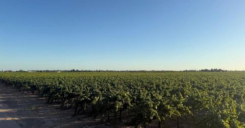 4000 E Acampo Rd, Acampo, CA 95220 Photo