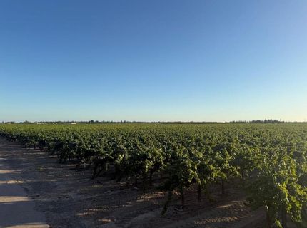 4000 E Acampo Rd, Acampo, CA 95220 Photo