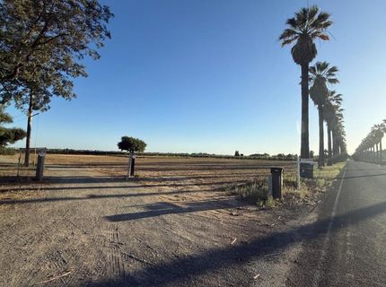4000 E Acampo Rd, Acampo, CA 95220 Photo
