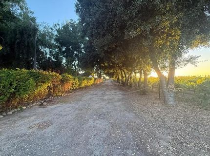 4000 E Acampo Rd, Acampo, CA 95220 Photo