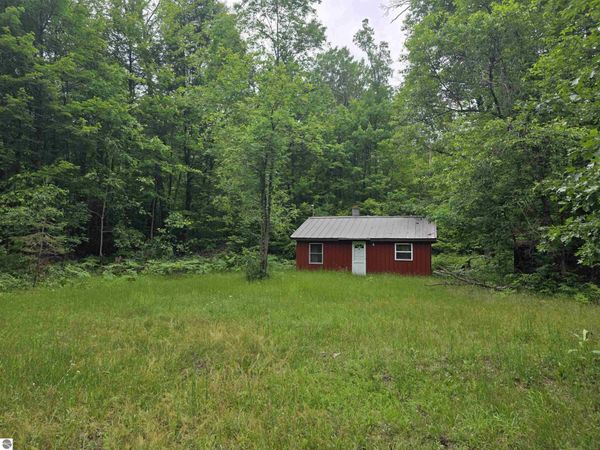 6300 Kerr Trail, Hale, MI 48739
