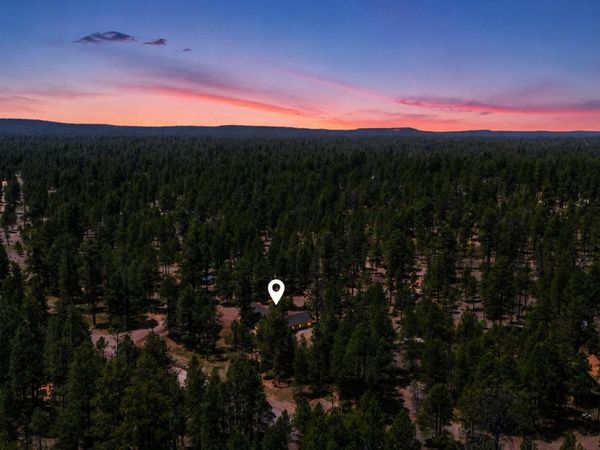856 COCONINO Loop, Happy Jack, AZ 86024