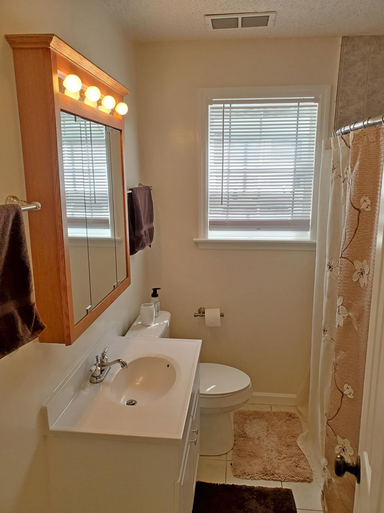 1730 Pinckney Park Drive Photo 10