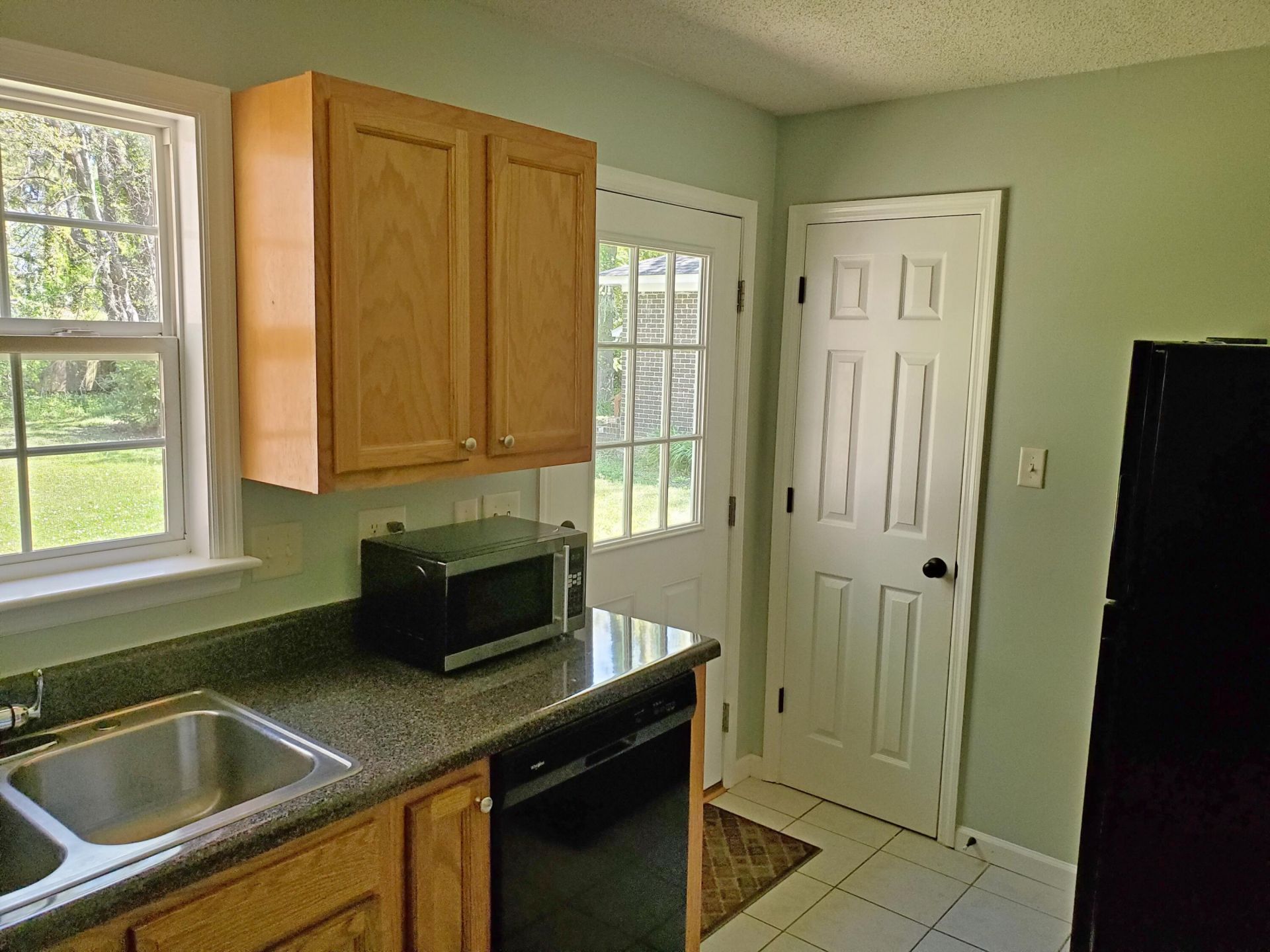 1730 Pinckney Park Drive Photo 4