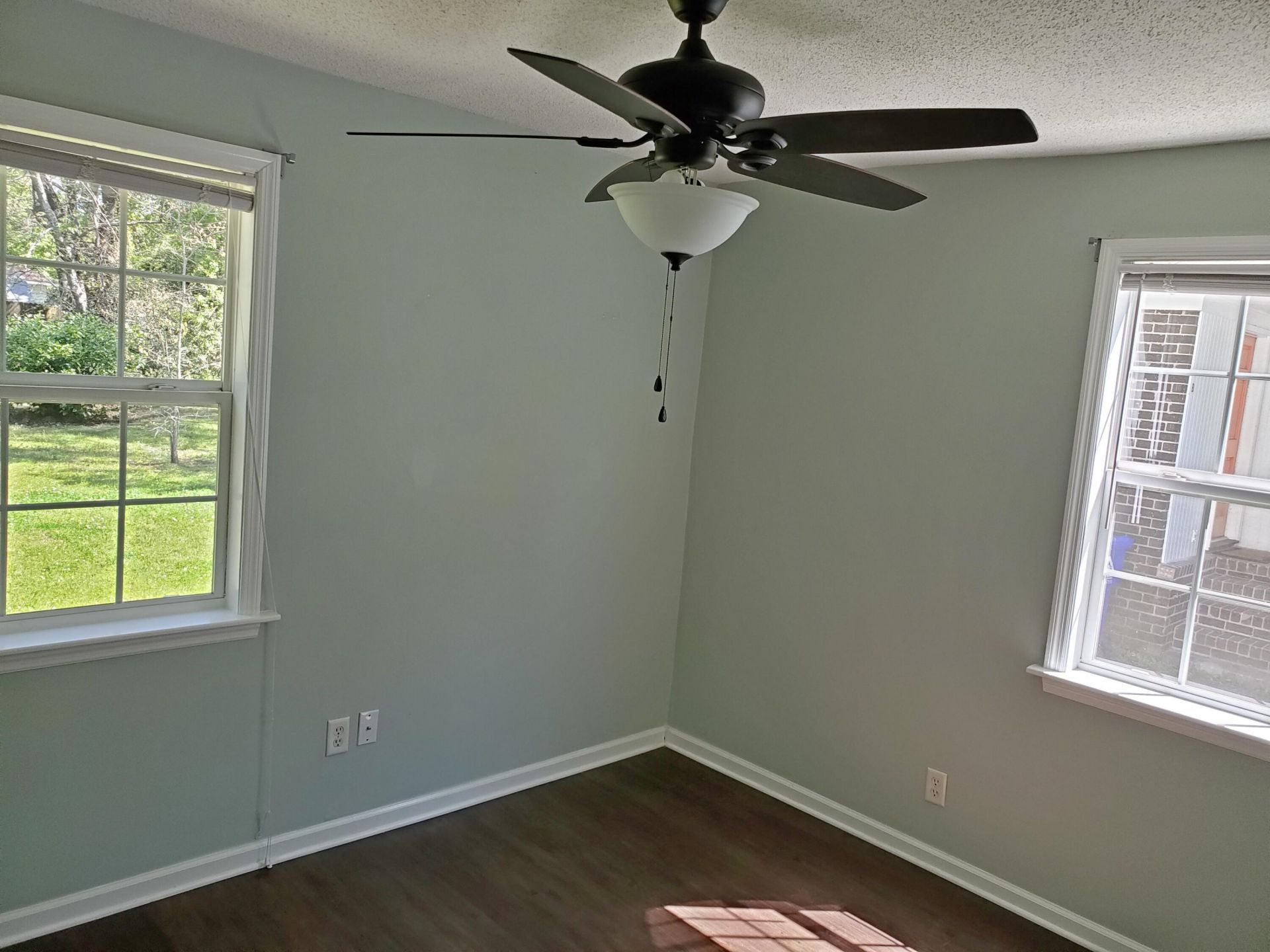 1730 Pinckney Park Drive Photo 8