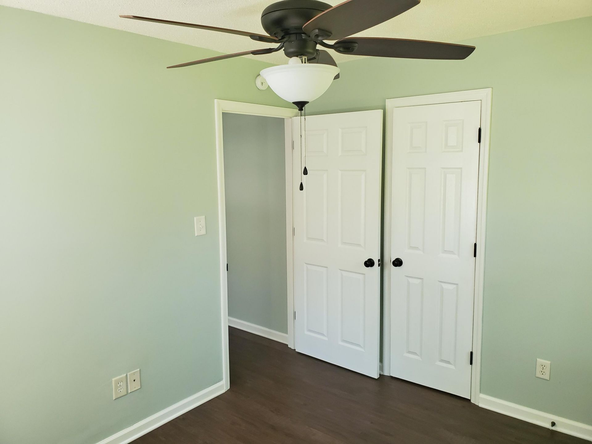 1730 Pinckney Park Drive Photo 9