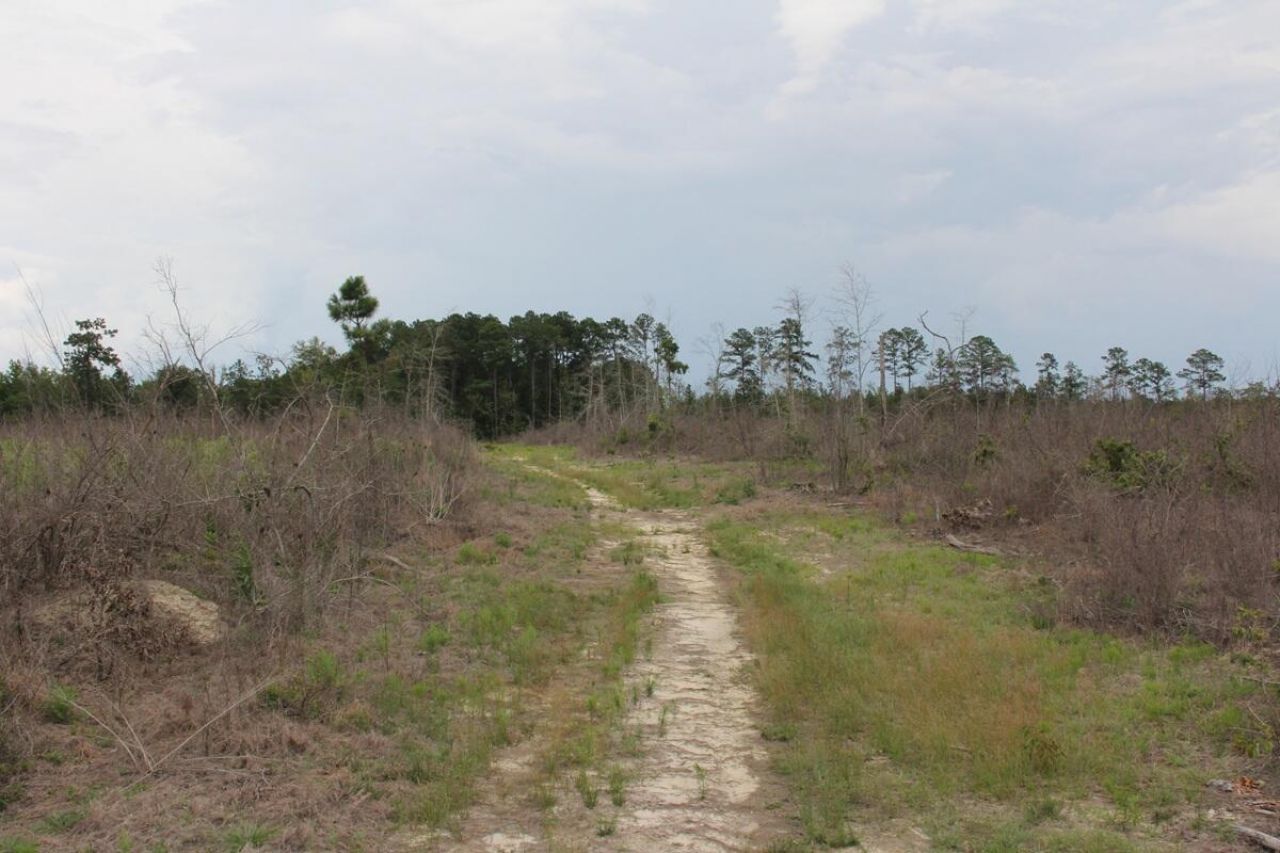 00 Moorer Road Photo 7