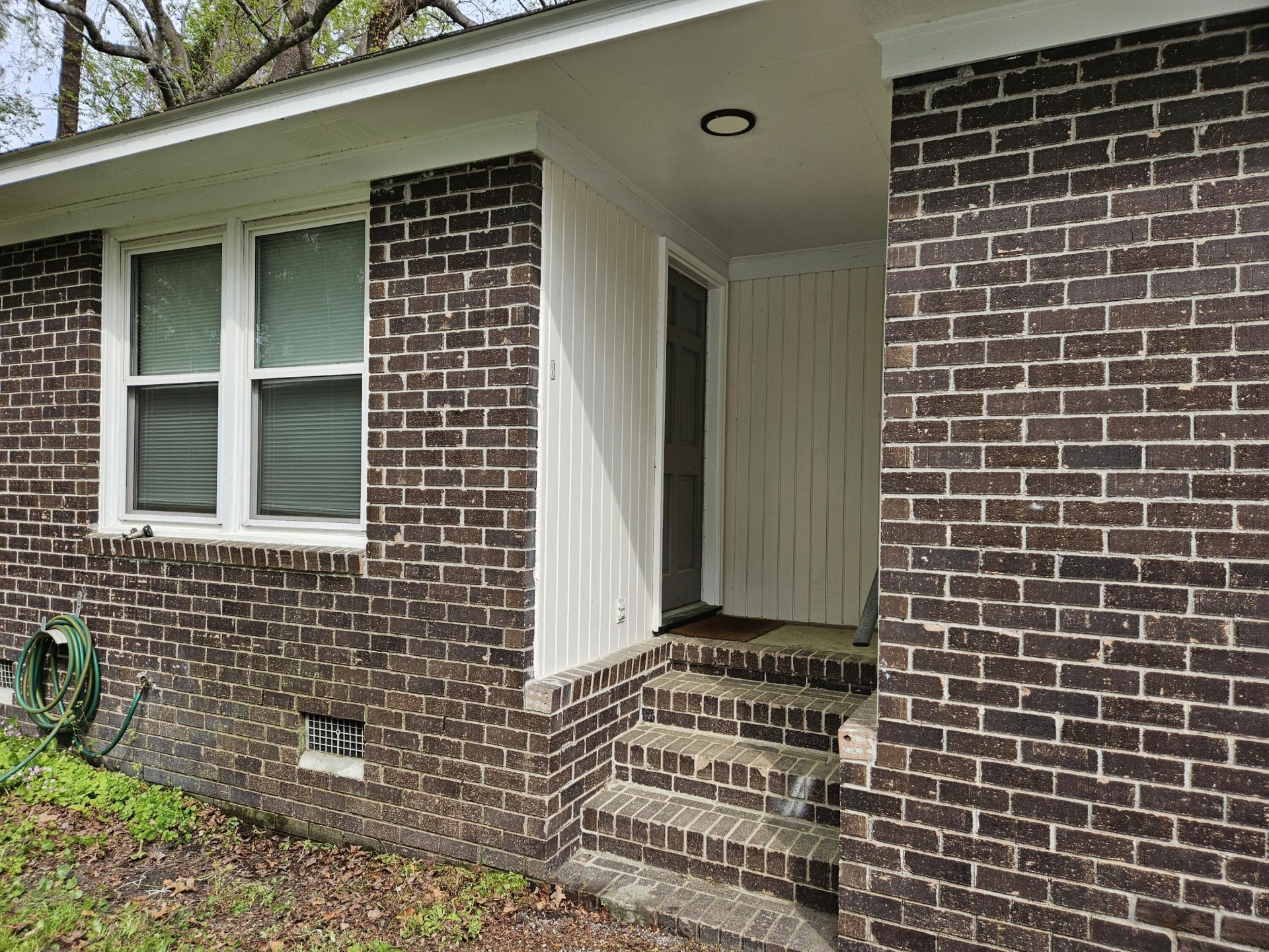 1728 Pinckney Park Drive Photo 18