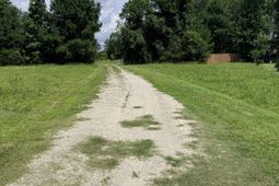 1991 Church Rd. photo 4