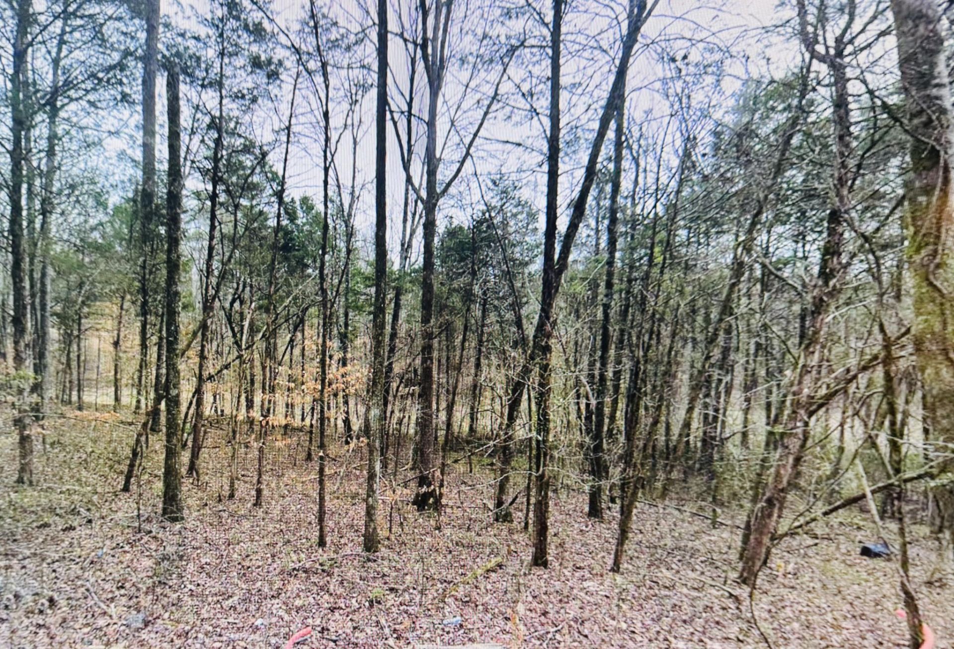 0 County Road 121, Athens, TN 37303 Main Photo