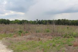0 Moorer Road photo 4