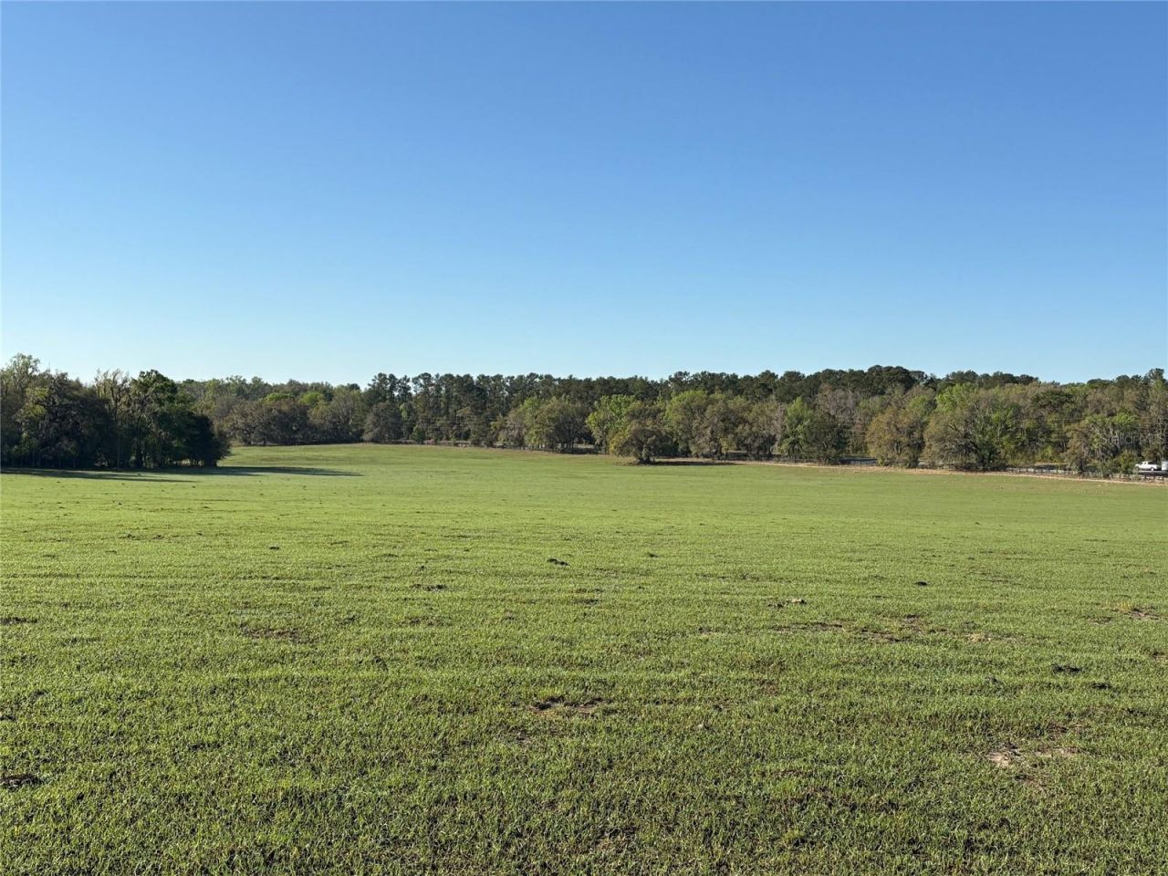 0 Citrus Way (ne Corner Of Citrus Way And Parsons , Brooksville, FL 34601 Photo