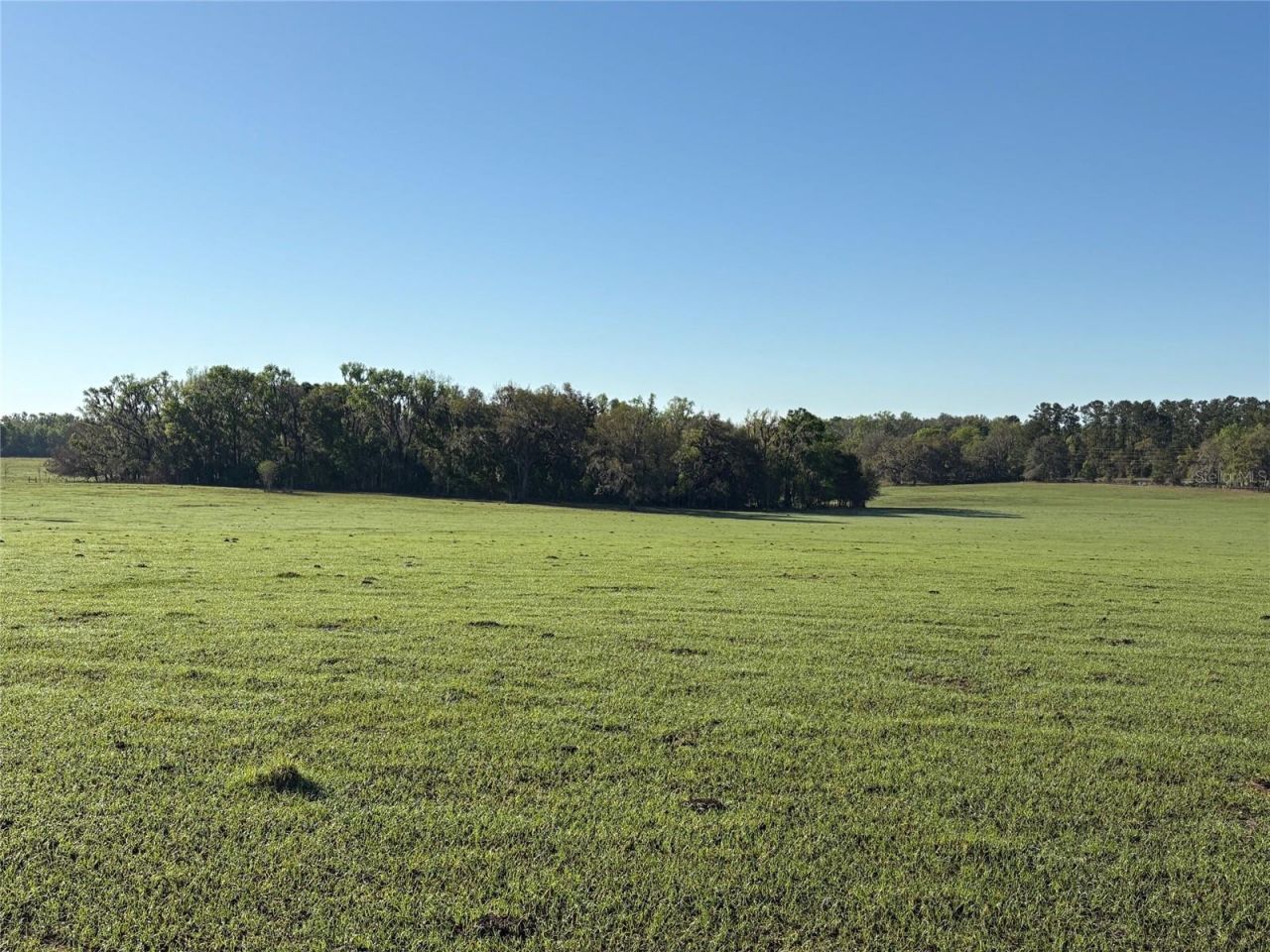 0 Citrus Way (ne Corner Of Citrus Way And Parsons , Brooksville, FL 34601 Photo