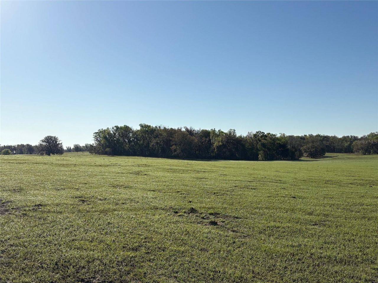 0 Citrus Way (ne Corner Of Citrus Way And Parsons , Brooksville, FL 34601 Photo