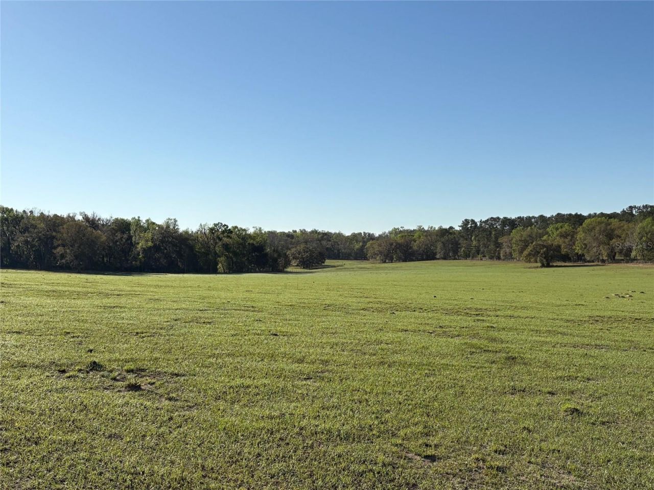 0 Citrus Way (ne Corner Of Citrus Way And Parsons , Brooksville, FL 34601 Photo