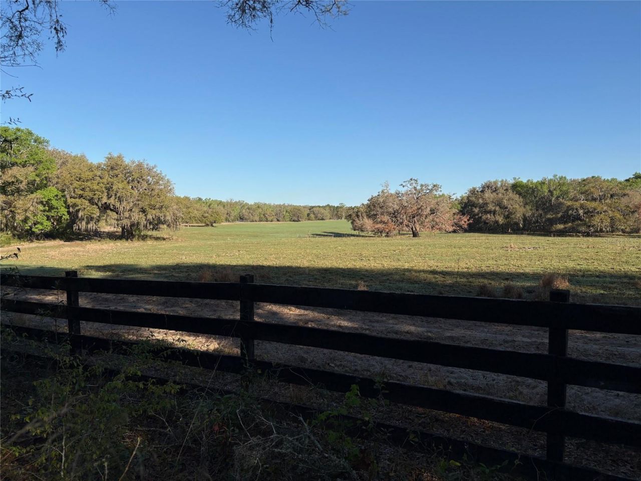 0 Citrus Way (ne Corner Of Citrus Way And Parsons , Brooksville, FL 34601 Photo
