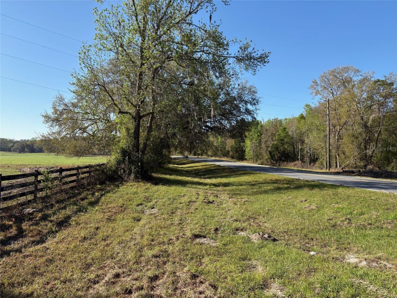 0 Citrus Way (ne Corner Of Citrus Way And Parsons , Brooksville, FL 34601 Photo