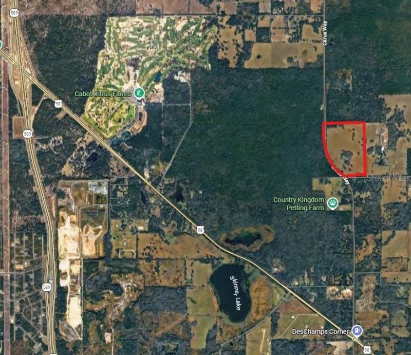0 Citrus Way (ne Corner Of Citrus Way And Parsons , Brooksville, FL 34601 Photo