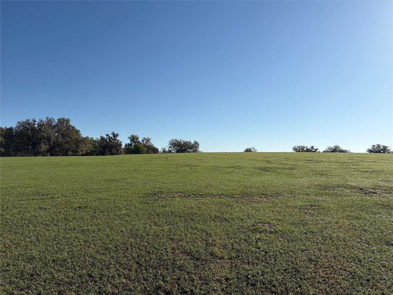 0 Citrus Way (ne Corner Of Citrus Way And Parsons , Brooksville, FL 34601 Photo