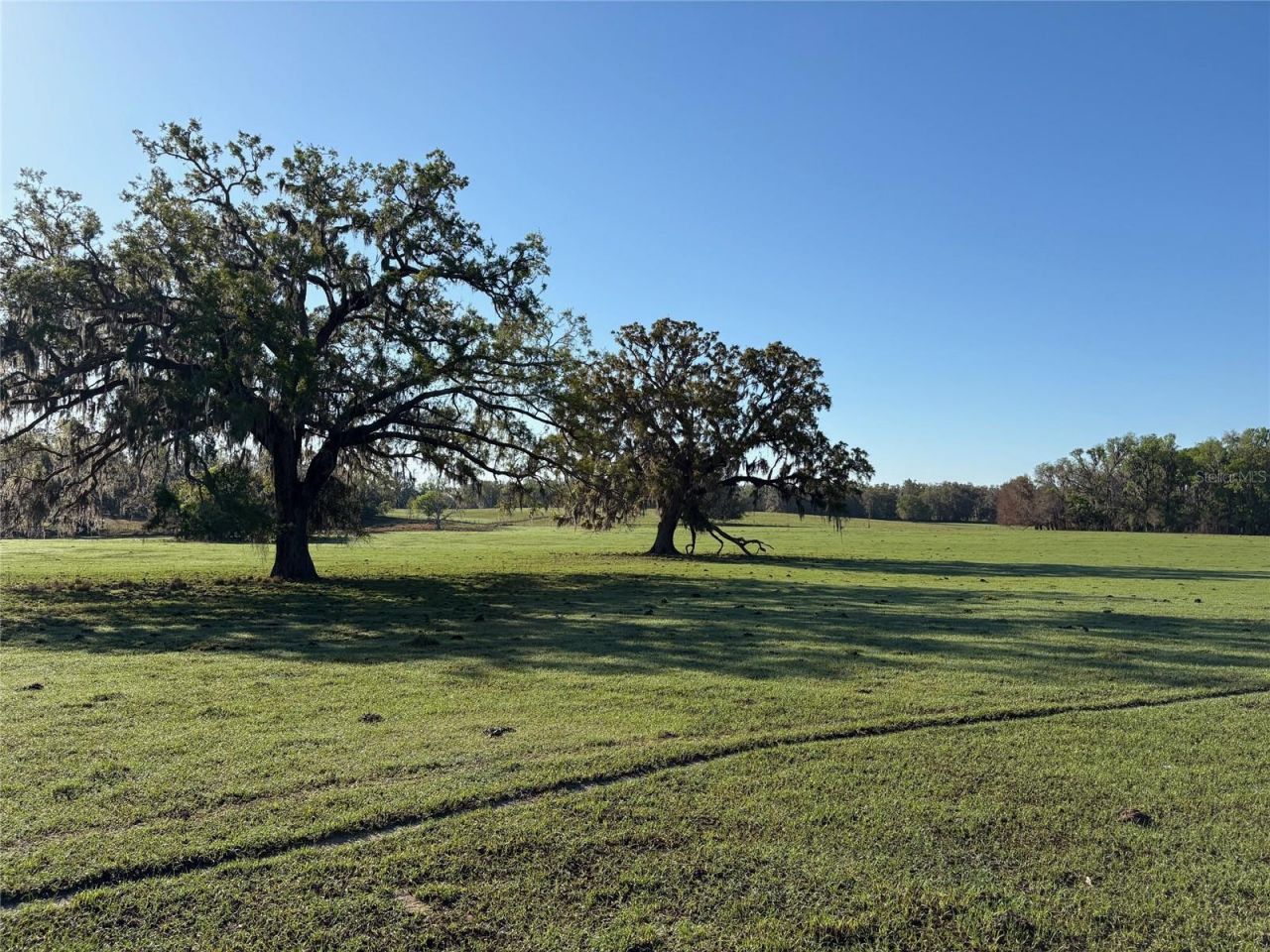 0 Citrus Way (ne Corner Of Citrus Way And Parsons , Brooksville, FL 34601 Photo