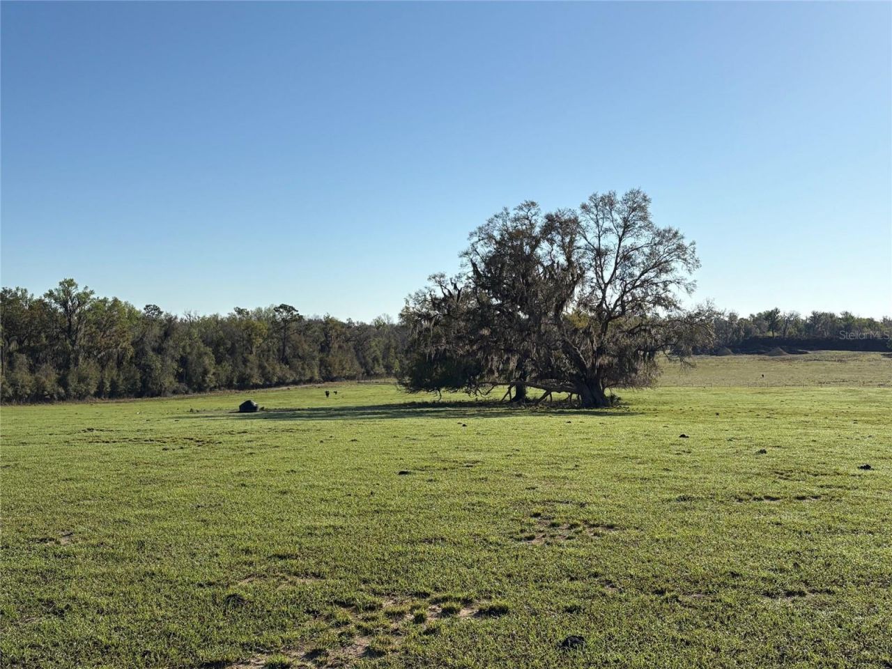 0 Citrus Way (ne Corner Of Citrus Way And Parsons , Brooksville, FL 34601 Photo