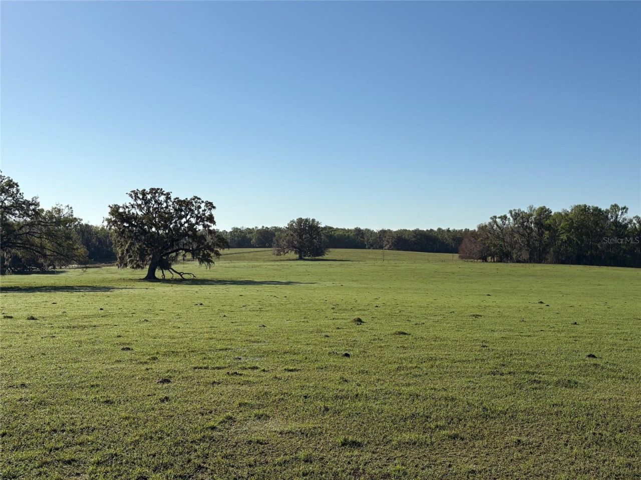 0 Citrus Way (ne Corner Of Citrus Way And Parsons , Brooksville, FL 34601 Photo