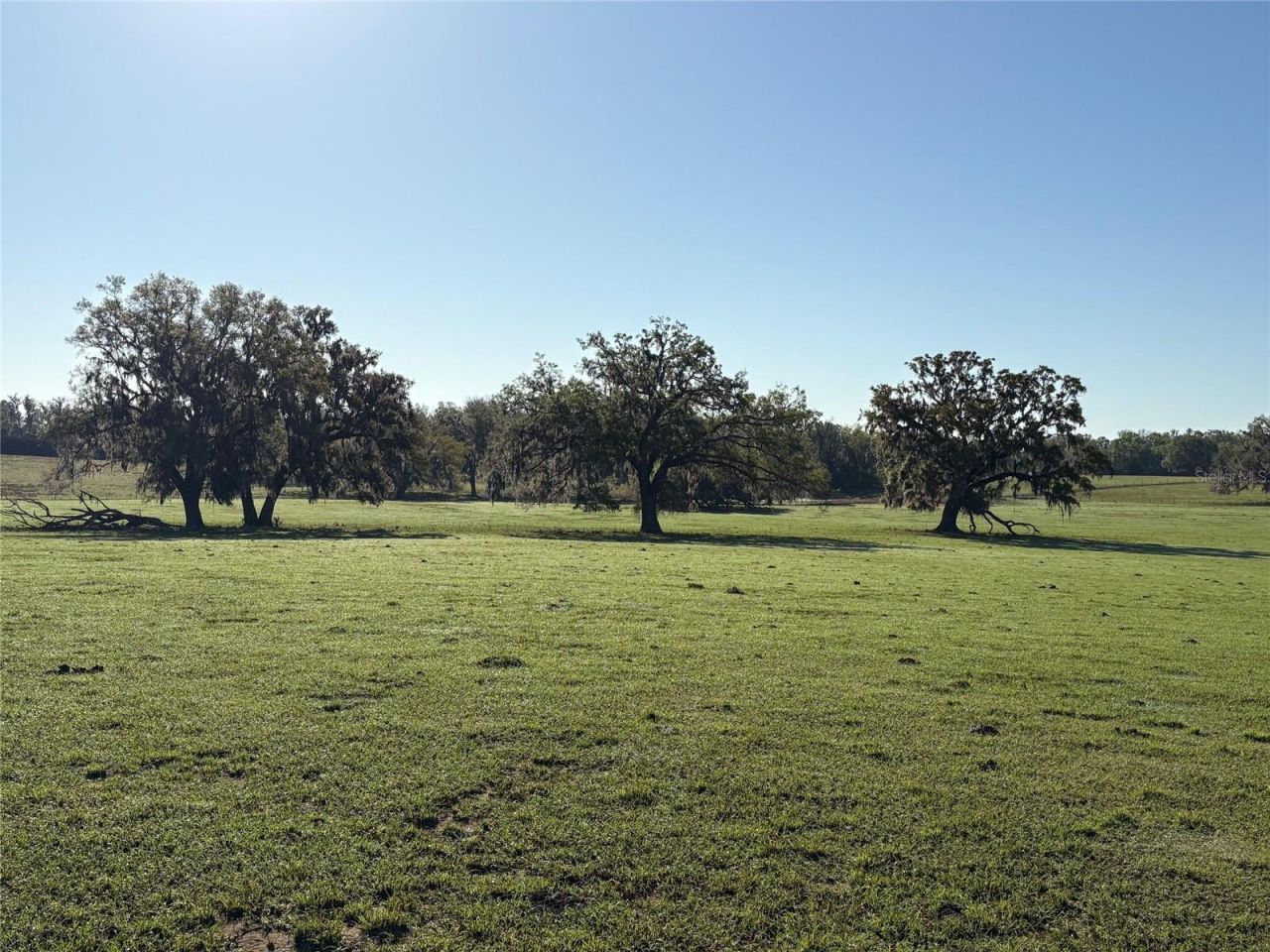 0 Citrus Way (ne Corner Of Citrus Way And Parsons , Brooksville, FL 34601 Photo