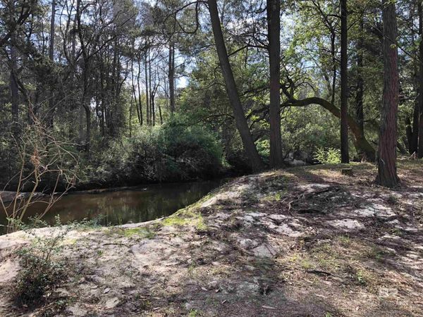 21305 River Road, Robertsdale, AL 36567