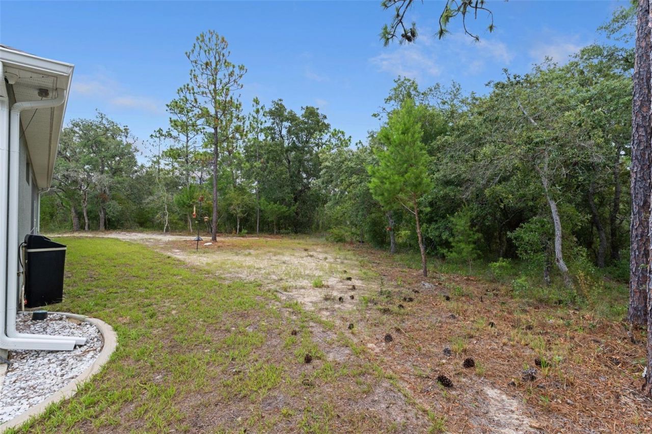 14610 Hidden Deer Trail, Brooksville, FL 34614 Photo