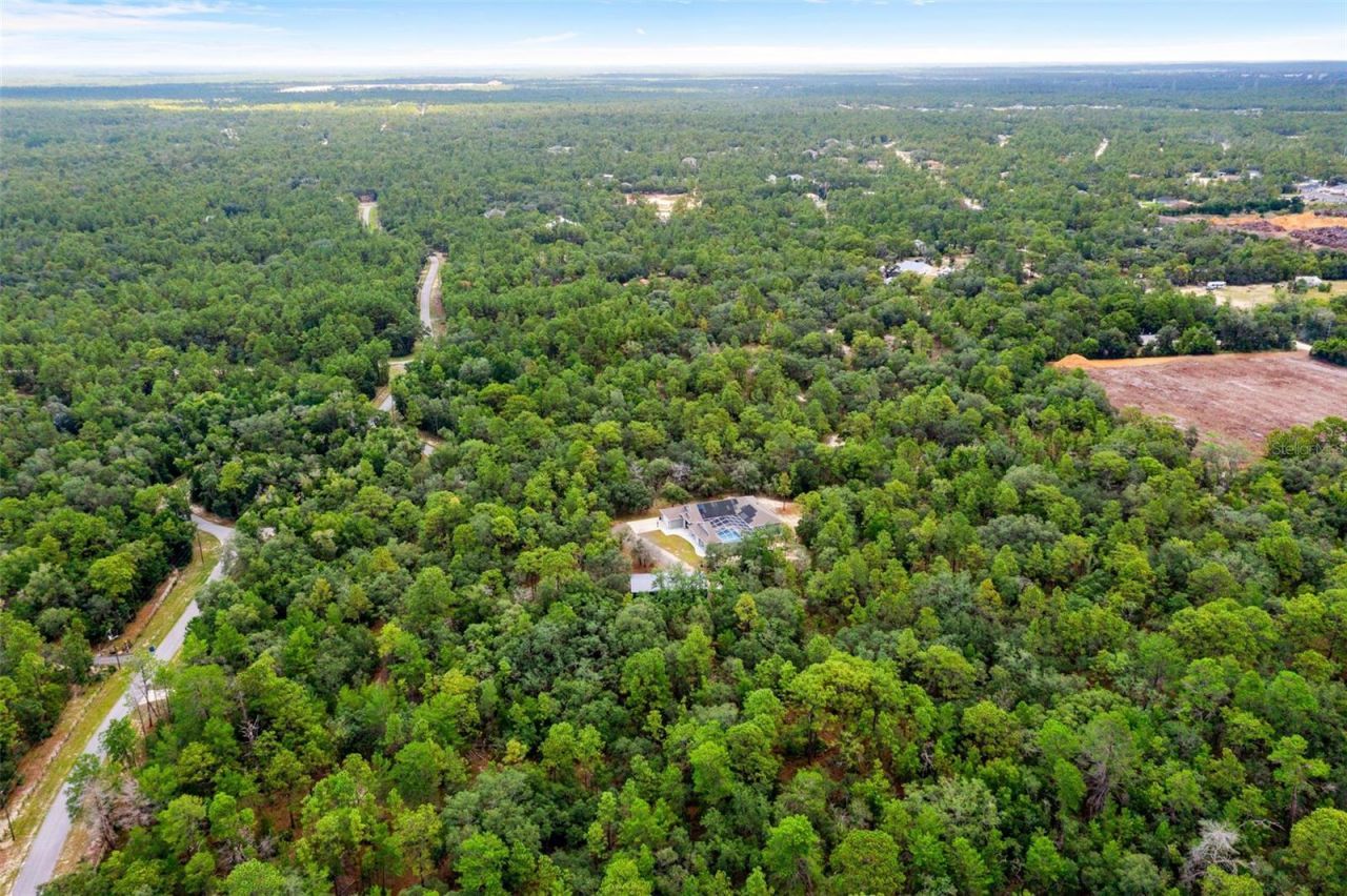 14610 Hidden Deer Trail, Brooksville, FL 34614 Photo