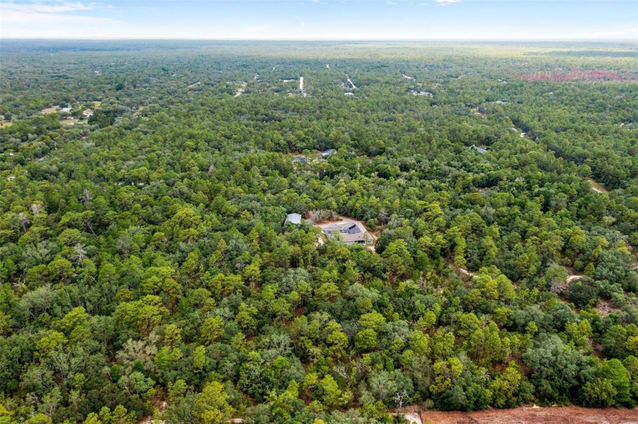 14610 Hidden Deer Trail, Brooksville, FL 34614 Photo