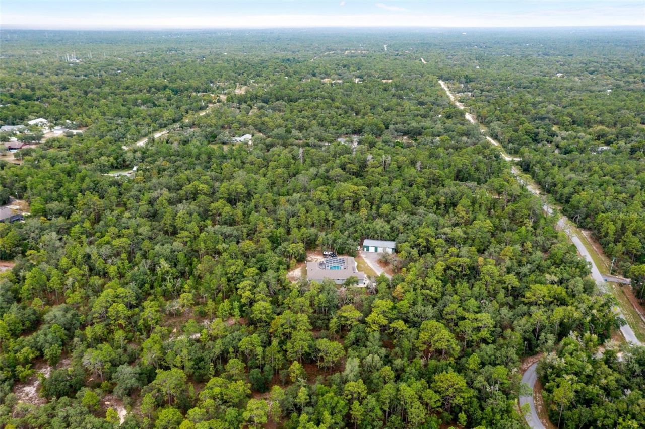 14610 Hidden Deer Trail, Brooksville, FL 34614 Photo