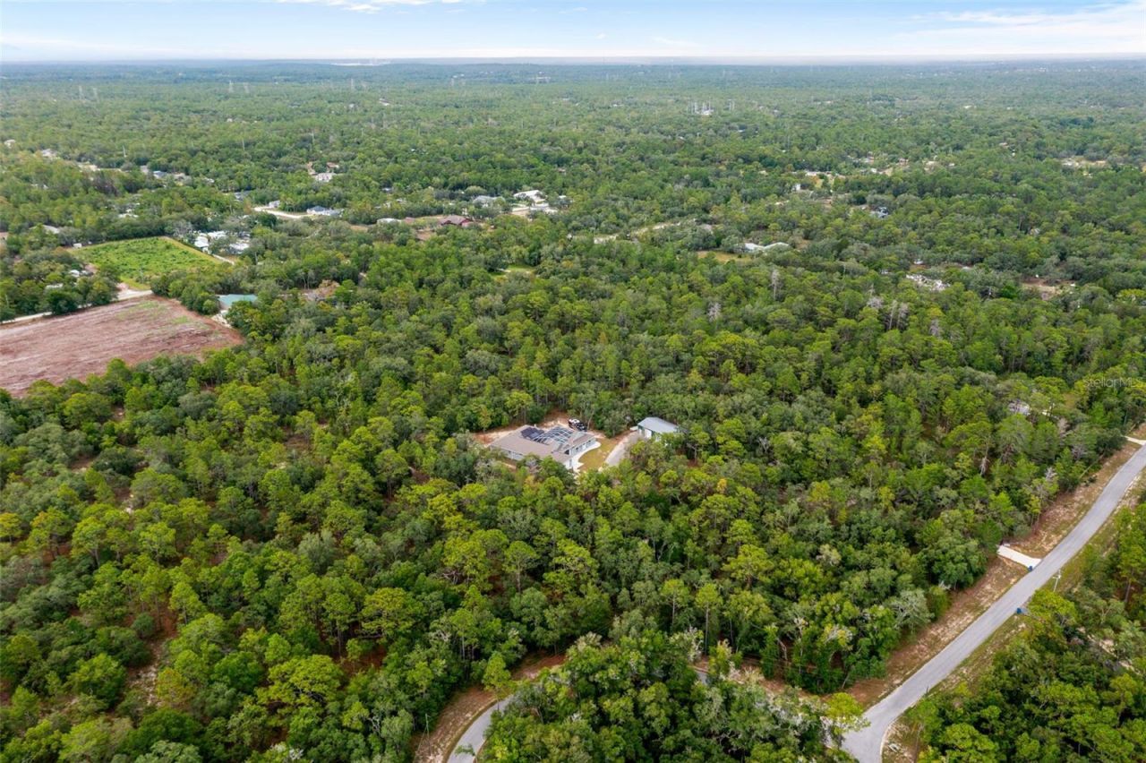 14610 Hidden Deer Trail, Brooksville, FL 34614 Photo