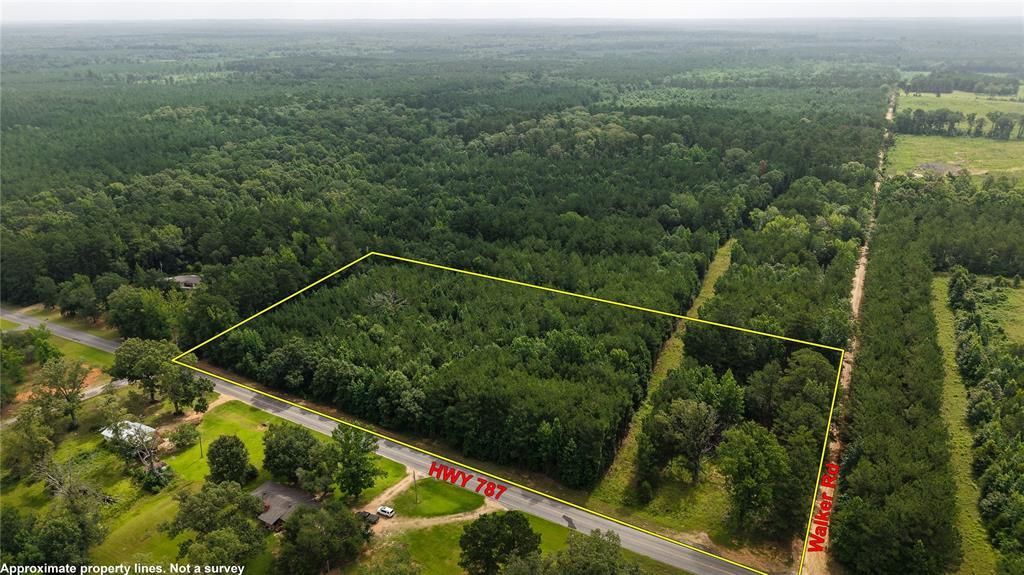 1549 Highway 787, Coushatta, LA 71019 Main Photo