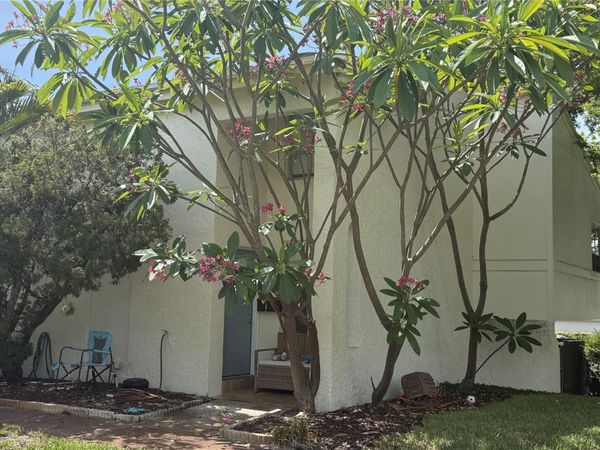 4221 LA SORRENTO COURT , TAMPA, FL 33611