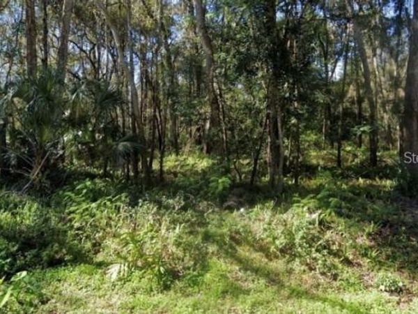 0 ZOLLER STREET , BROOKSVILLE, FL 34601