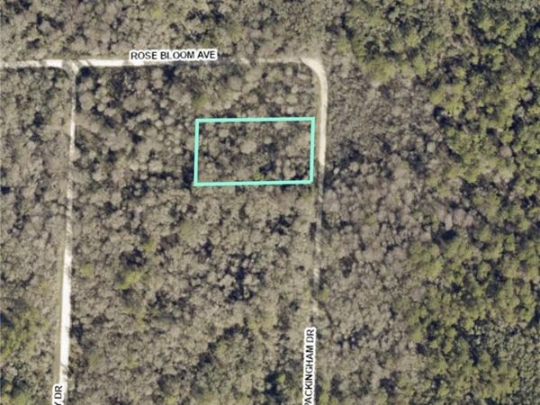 8009 Packingham ST, WEBSTER, FL 33597
