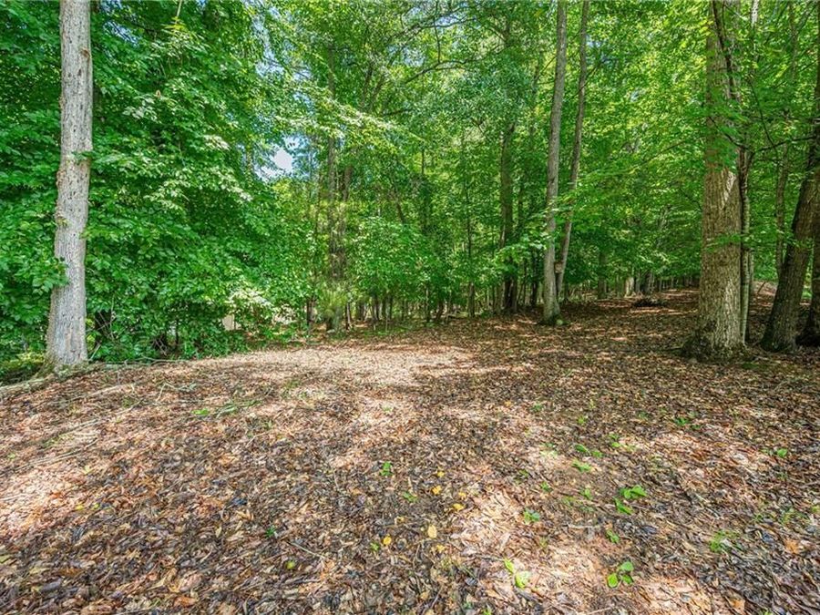 Property Image 62