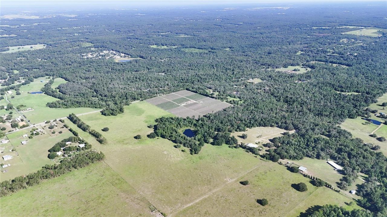 24063 Hayman Road, Brooksville, FL 34602 Photo
