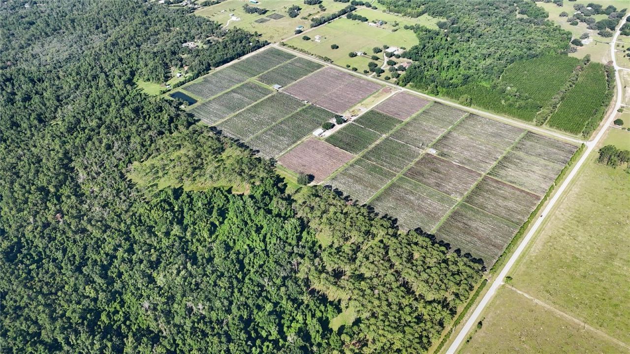 24063 Hayman Road, Brooksville, FL 34602 Photo
