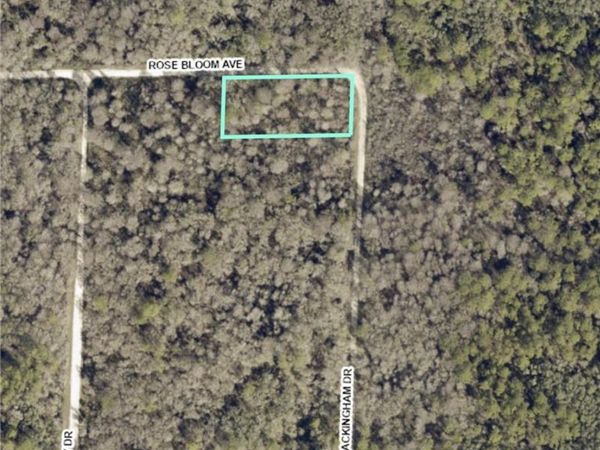 33464 Packingham DR , WEBSTER, FL 33597
