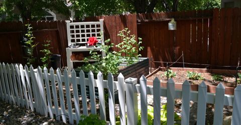 1848 Bougainvillea Drive, Minden, NV 89423 Photo