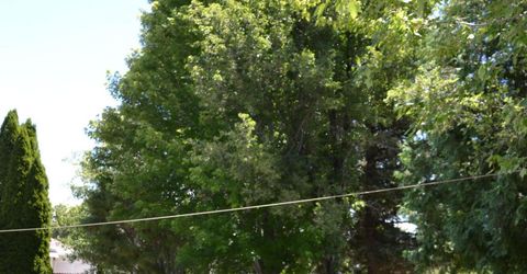 1848 Bougainvillea Drive, Minden, NV 89423 Photo
