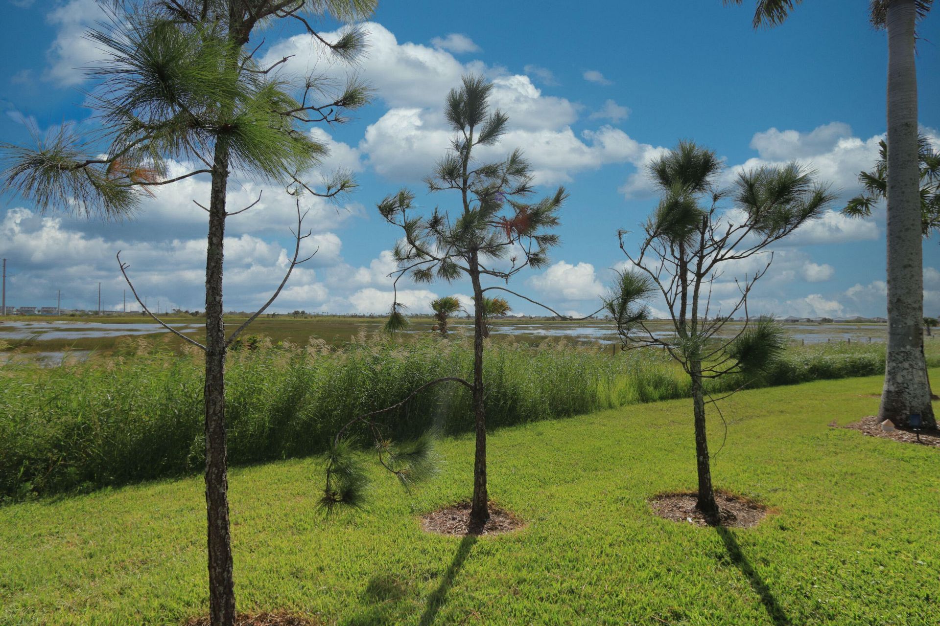 13126 SW Aureolian Lane, Port Saint Lucie, FL 34987 Photo