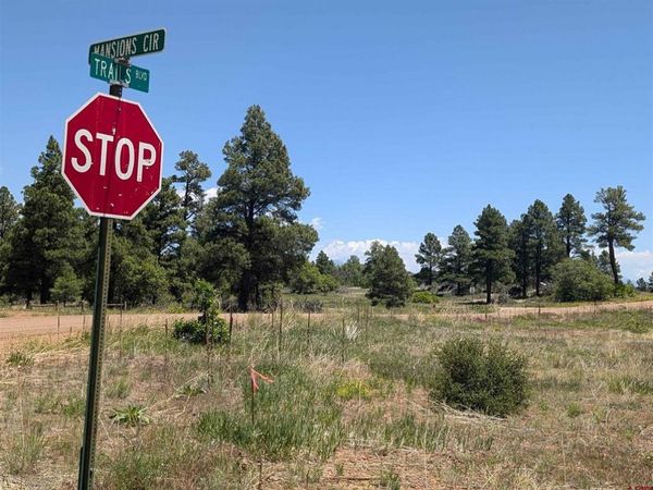 16 Mansions Circle, Pagosa Springs, CO 81147