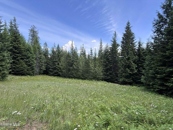 1046 Saddleback DR , Naples, ID 83847