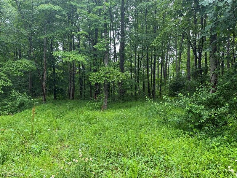 19440 Township Rd 67 Road, Warsaw, OH 43844 Photo 5